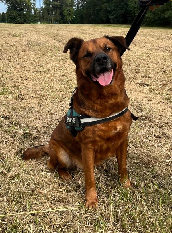 JONAS UNA CASA PER LUI Foto 8